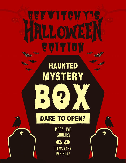 Spooky mystery Box